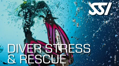 Diver Stress & Rescue