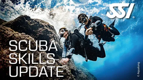 Scuba Skills Update