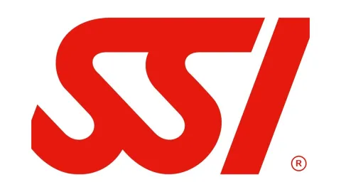 Warum SSI?