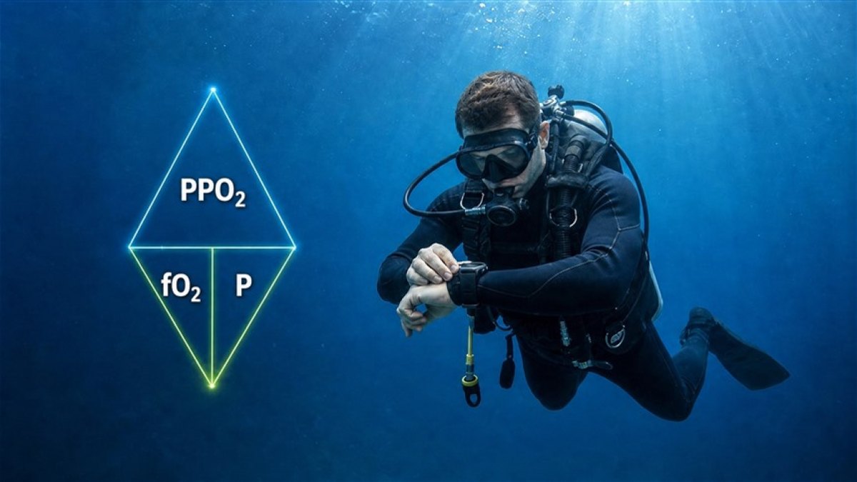Schnorchelausrüstung bei BEYOND DIVING