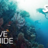 Dive Guide